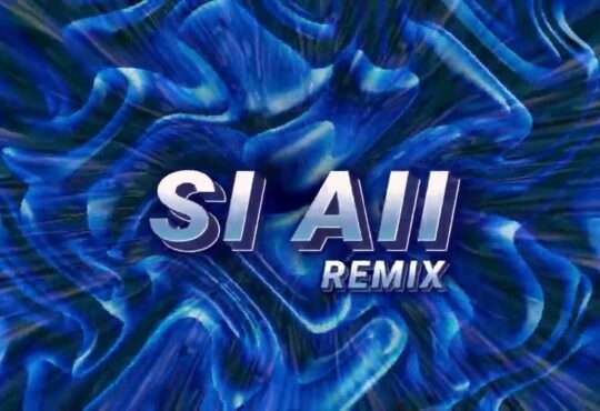 DANON3 BEATZ - SI AII (REMIX) | 2 MIN DE CUYUYU