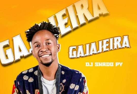 Dj Shado Py - Gajajeira (Instrumental Afro House)